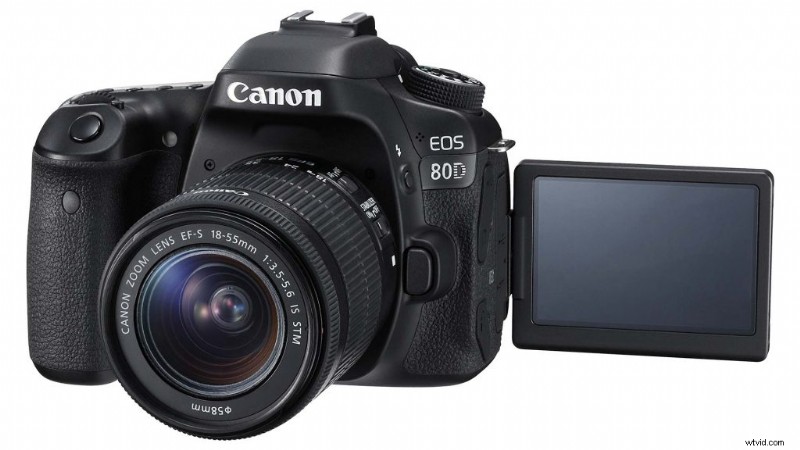 Which Camera Type is Right for You? Expert Guide to Smartphones, Compacts, Mirrorless, DSLRs & More