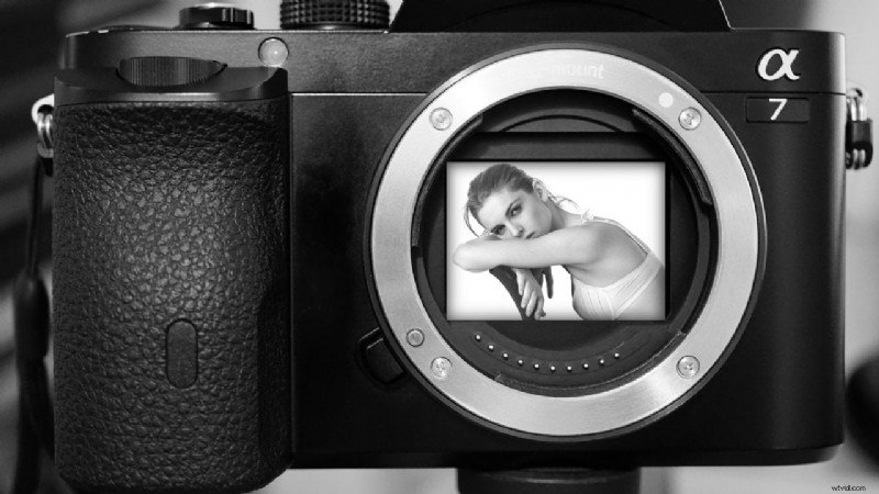 What Is a Mirrorless Camera? Key Technology and Features Explained