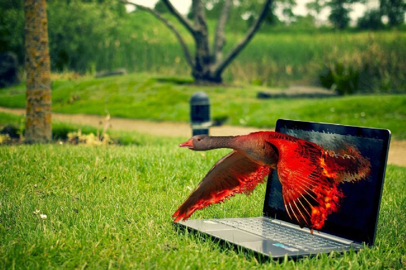 Avoid Common Photoshop Mistakes: Essential Tips for Photographers