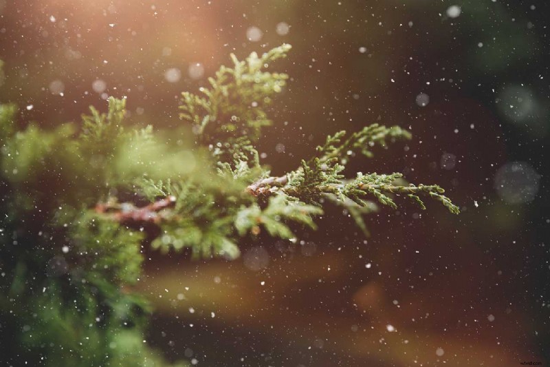 5 Expert Tips to Capture Stunning Outdoor Photos in Winter