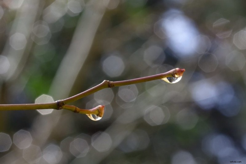 9 Essential Photography Techniques to Use Every Day for Stunning Shots