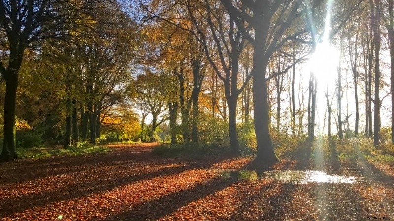 PhotoLemur Review: Is This Lightning-Fast Photo Editor Revolutionizing Image Enhancement?