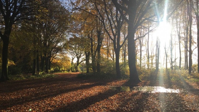 PhotoLemur Review: Is This Lightning-Fast Photo Editor Revolutionizing Image Enhancement?