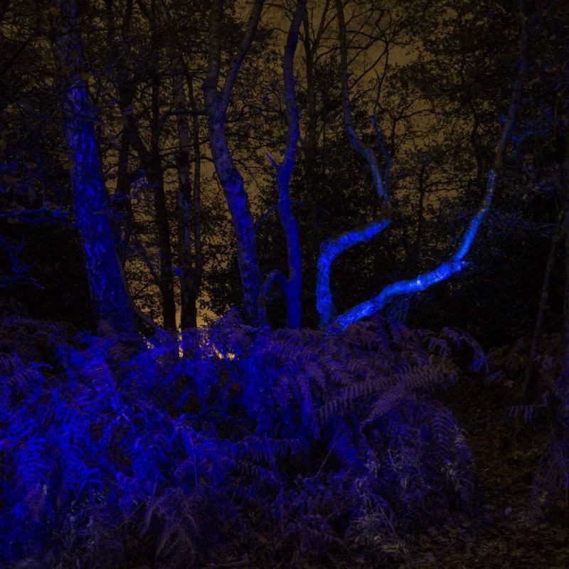 Light Painting for Beginners: Essential Guide to Stunning Night Photography