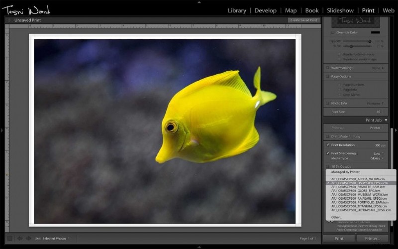 How to Print Photos at Home: My Personal Journey and Essential Tips