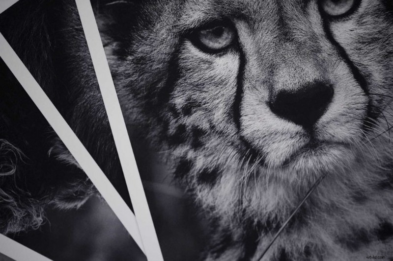 How to Print Photos at Home: My Personal Journey and Essential Tips