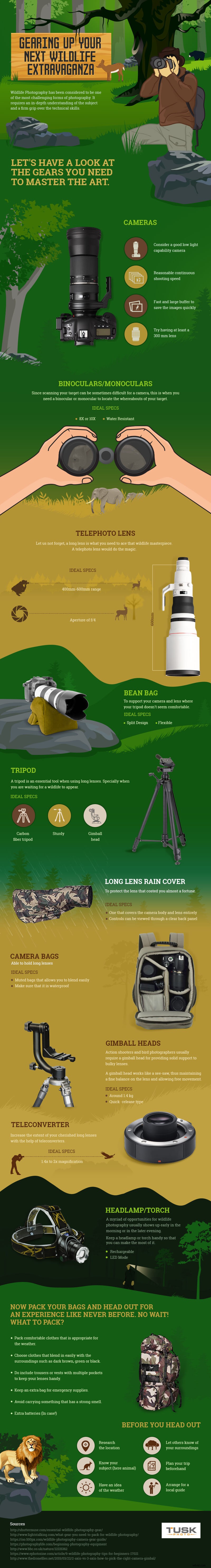 Essential Gear for Wildlife Photography: Expert Infographic Guide