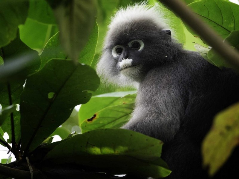 Ultimate Guide: How to Plan a Successful Wildlife Photography Trip