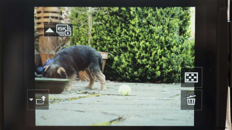 Panasonic GH5 6K Photo Mode: Complete Guide to Capturing Stunning Moments at 30fps