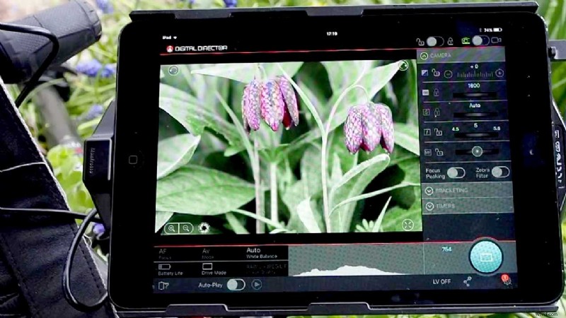 Ultimate Guide: How to Use Manfrotto Digital Director with iPad for Canon & Nikon Cameras
