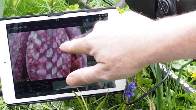 Ultimate Guide: How to Use Manfrotto Digital Director with iPad for Canon & Nikon Cameras