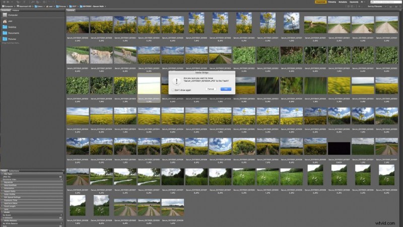 How to Efficiently Sort Photos by Rating in Adobe Bridge