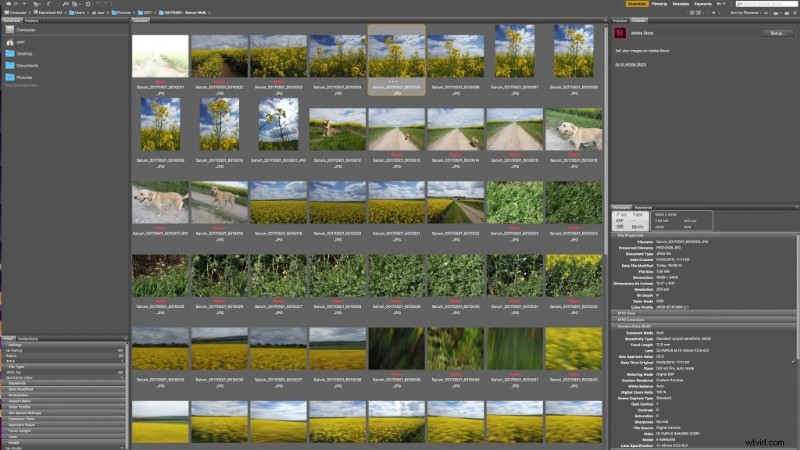 How to Efficiently Sort Photos by Rating in Adobe Bridge
