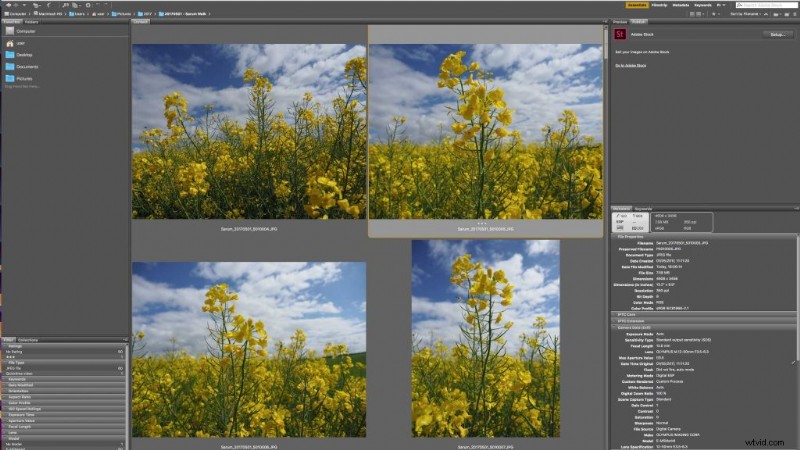 How to Efficiently Sort Photos by Rating in Adobe Bridge