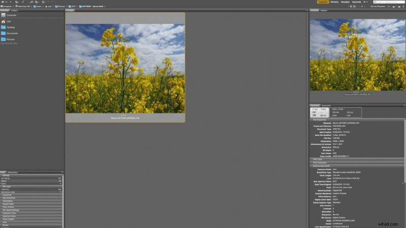 How to Efficiently Sort Photos by Rating in Adobe Bridge