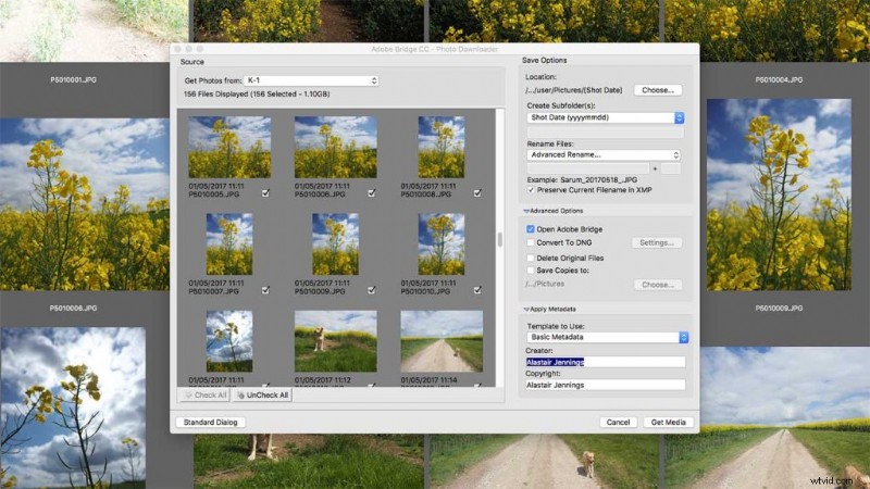 Effortlessly Organize Your Photo Library: Download Adobe Bridge CC Guide