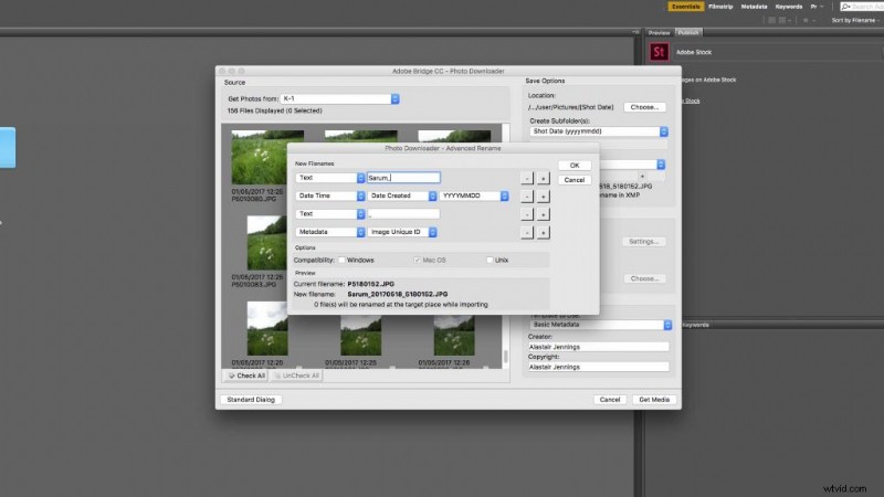 Effortlessly Organize Your Photo Library: Download Adobe Bridge CC Guide