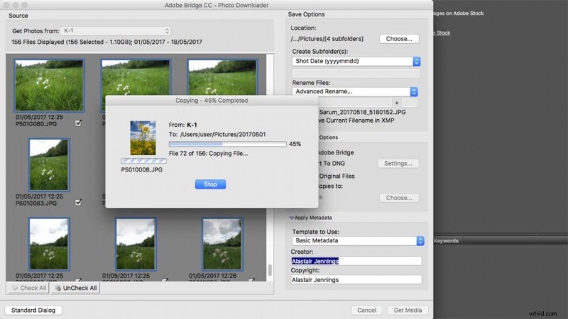 Effortlessly Organize Your Photo Library: Download Adobe Bridge CC Guide