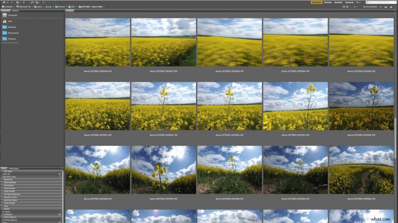 Effortlessly Organize Your Photo Library: Download Adobe Bridge CC Guide