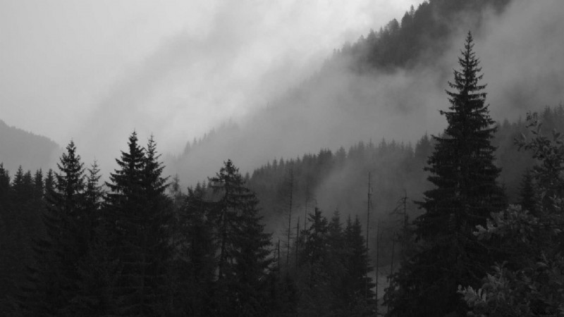 Master Your Camera s Film Simulation Modes for Stunning Colors and Creative Control