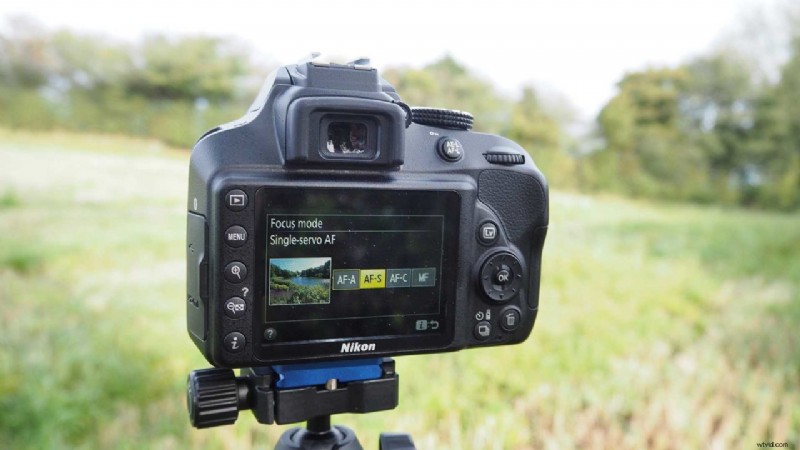 Master Nikon D3400 AF Modes: Essential Guide for Sharp Focus
