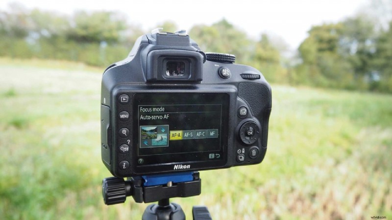 Master Nikon D3400 AF Modes: Essential Guide for Sharp Focus