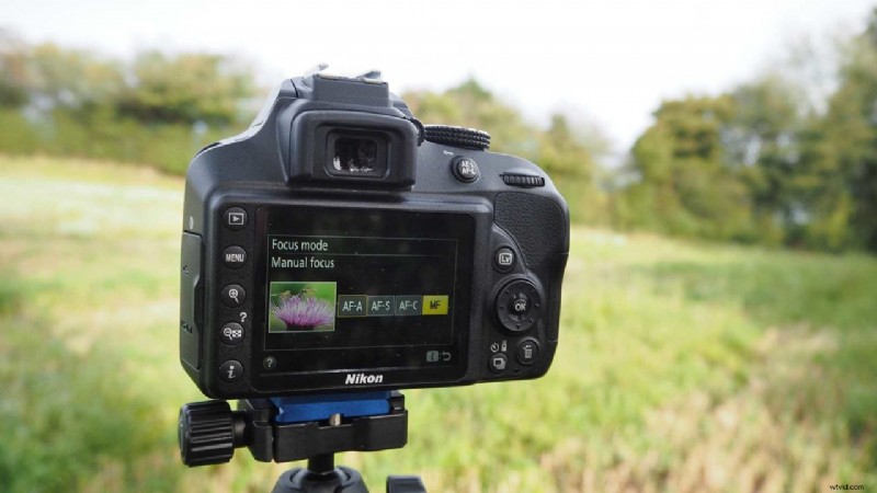 Master Nikon D3400 AF Modes: Essential Guide for Sharp Focus