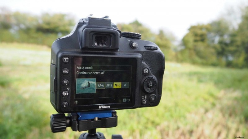 Master Nikon D3400 AF Modes: Essential Guide for Sharp Focus