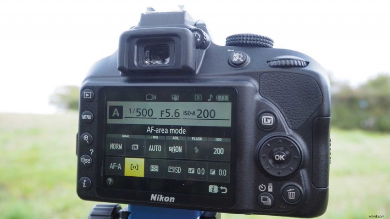 Master Nikon D3400 AF Modes: Essential Guide for Sharp Focus