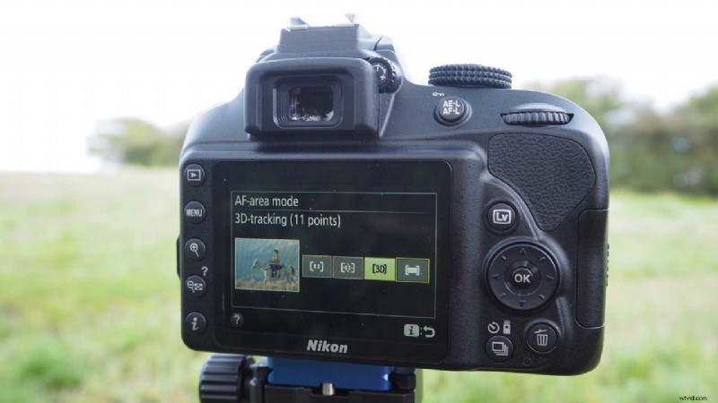 Master Nikon D3400 AF Modes: Essential Guide for Sharp Focus