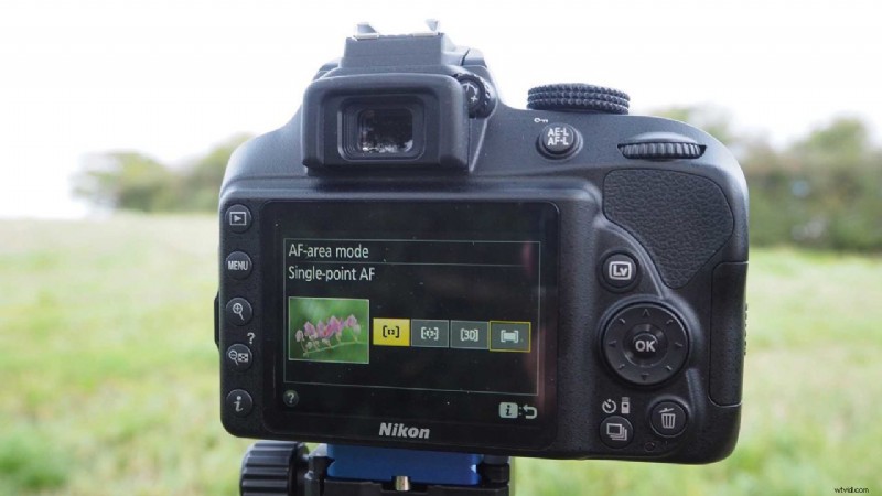 Master Nikon D3400 AF Modes: Essential Guide for Sharp Focus