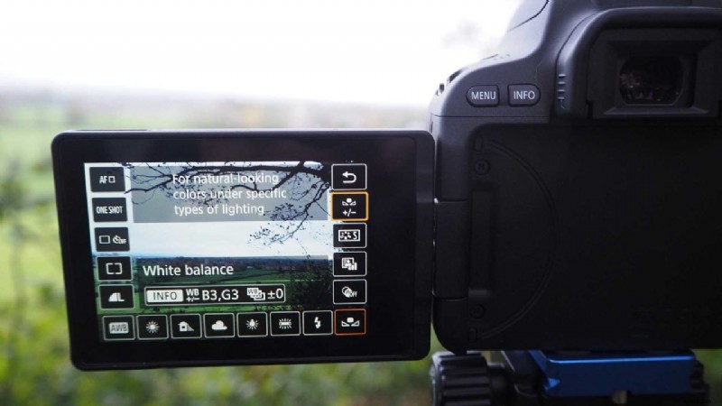 Canon EOS 200D / Rebel SL2: Step-by-Step Guide to Setting Custom White Balance