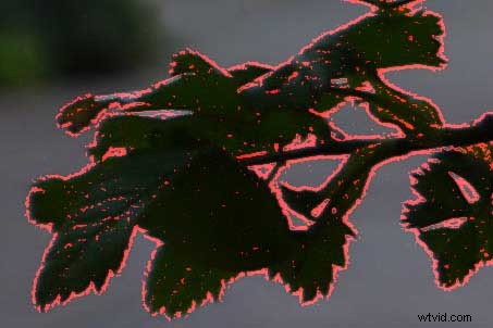 Master 6 Essential Photography Techniques Every Beginner Needs