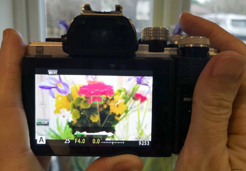 Mastering Histograms in Photography: Guide to Perfect Exposure & FAQs