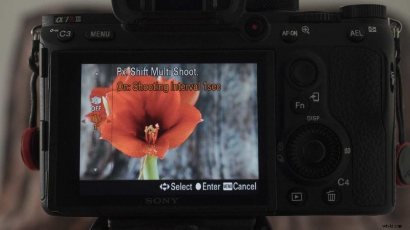 Master Sony A7R III Pixel Shift Multi Shooting: Ultimate Guide to Ultra-Detailed Imaging