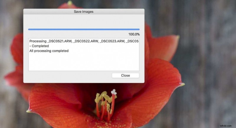 Master Sony A7R III Pixel Shift Multi Shooting: Ultimate Guide to Ultra-Detailed Imaging