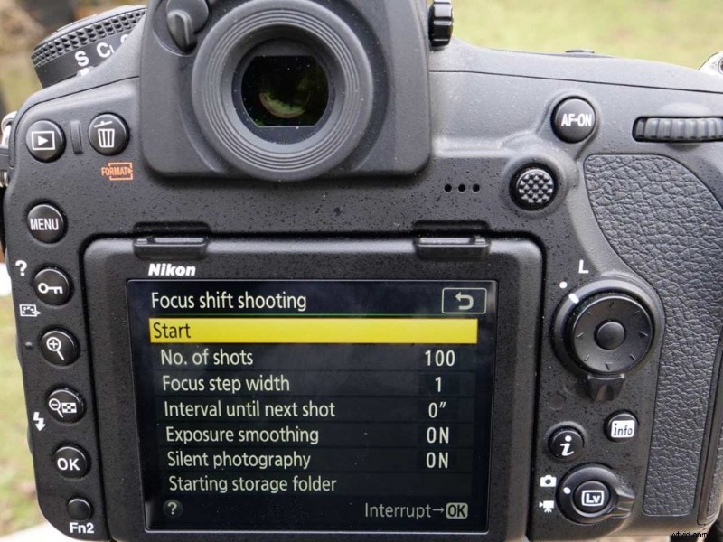 Nikon D850 Focus Shift: Step-by-Step Guide to Creating Stunning Focus Stacked Images