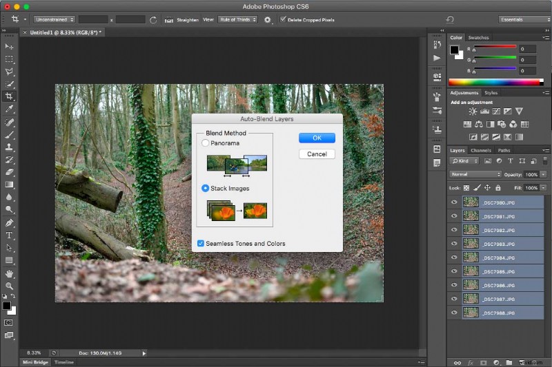 Nikon D850 Focus Shift: Step-by-Step Guide to Creating Stunning Focus Stacked Images