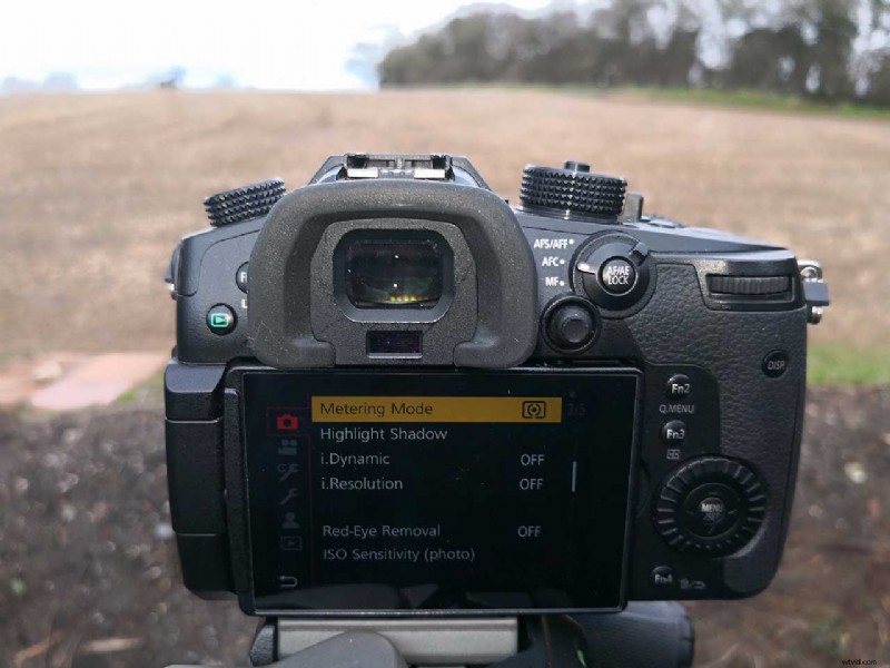 When to Ignore Your Camera s Light Meter: Pro Exposure Tips