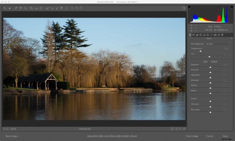 RAW vs. JPEG: When to Use Each File Format for Optimal Photography