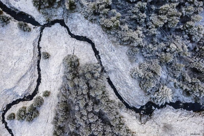 Master Leading Lines: Elevate Your Photography Composition