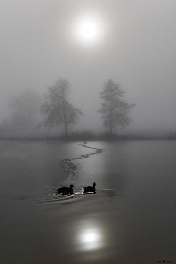 Master Leading Lines: Elevate Your Photography Composition