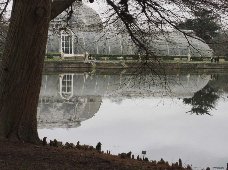 Master Reflection Photography: Expert Tips for Stunning, Creative Shots