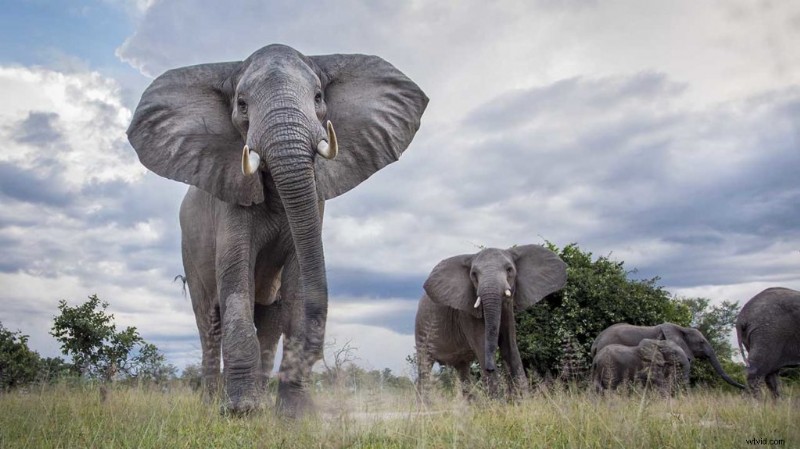 How to Launch a Successful Photography Business: Expert Tips from Pros