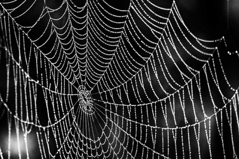 8 Expert Tips for Capturing Stunning Creative Autumn Photos