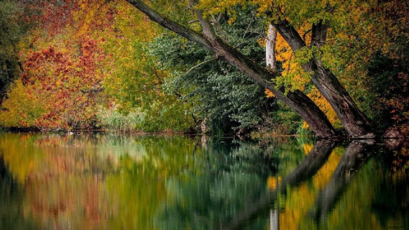 8 Essential Tips for Capturing Stunning Autumn Photography