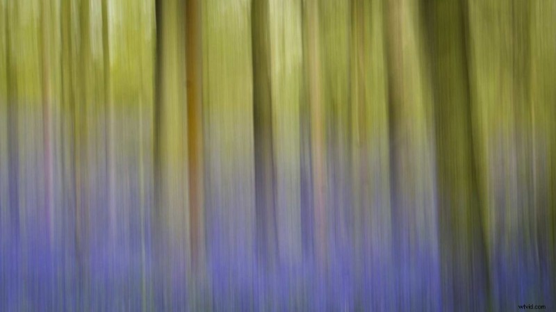 Master Intentional Camera Movement: Simple Guide to Creative ICM Photography