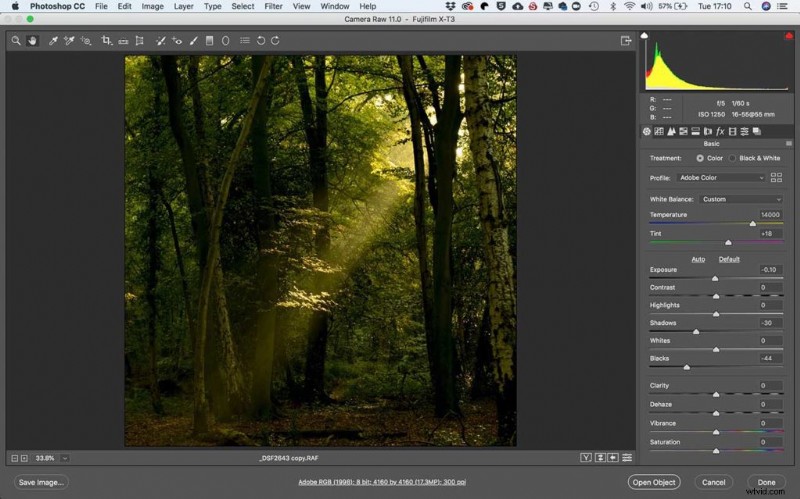 Fujifilm X-T3: Capturing and Editing Stunning Woodland Sunbeams