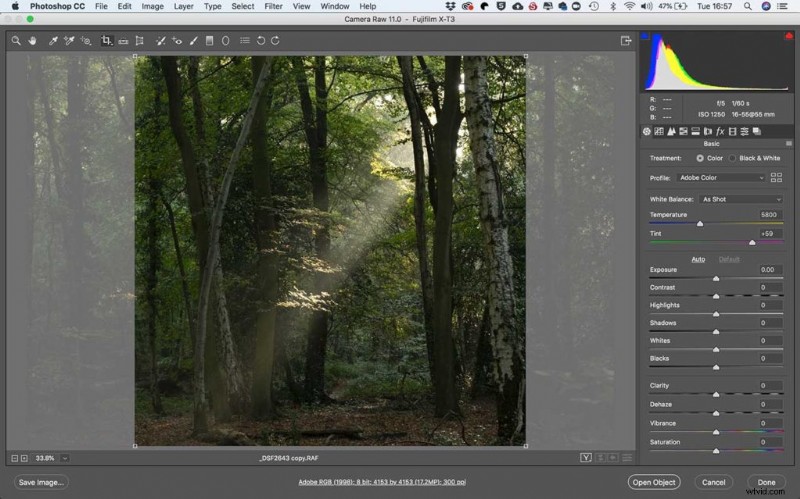 Fujifilm X-T3: Capturing and Editing Stunning Woodland Sunbeams