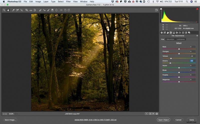 Fujifilm X-T3: Capturing and Editing Stunning Woodland Sunbeams